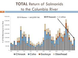 2019 Columbia River Basin Salmon And Steelhead Runs Should
