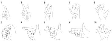 British Sign Language For Dummies Cheat Sheet Dummies