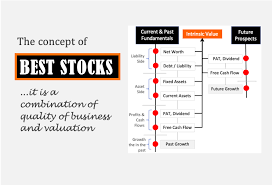 best stocks to india for long term