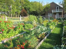 How To Plan Your Edible Garden The