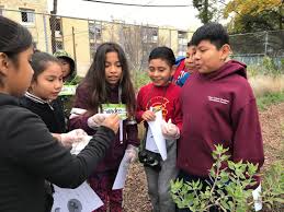 garden based learning helps students