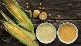 Is cornmeal the same as cornstarch?
