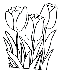Flower Outlines For Coloring Flower Coloring Pages Printable