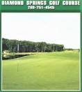 Diamond Springs Golf Course in Hamilton, Michigan | foretee.com