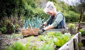 When To Plant Vegetables In Ohio A