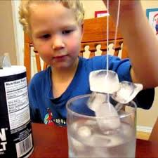 Why Salt Melts Ice | Easy Science for Kids - Science Kiddo