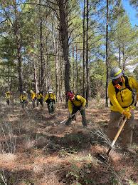 25th annual wildfire academy begins
