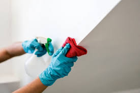 How To Wash Walls Before Painting Mr
