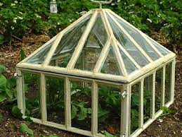 the beauty of the garden cloche