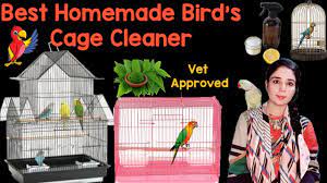 how to clean birds cage easy homemade
