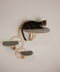 Wall Mounted Cat Shelves