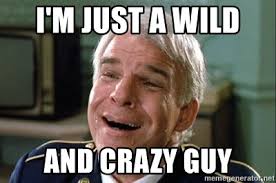 Image result for steve martin wild and crazy guys