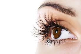 Eyelashes are long enough to shield your eyes from debris, but short enough learn how to apply it. 4 Facts About Lash Shedding