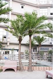 China Artificial Palm Tree And