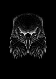 eagle art android bird black dark