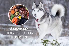 Poor hygiene, lack of cleanliness and a low quality vegan diet can cause bladder stones to form inside your dog. Homemade Dog Food For Huskies Recipes Nutrition Tips Canine Bible