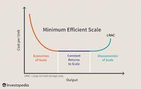 The reason this assumption is. Minimum Efficient Scale Mes Definition