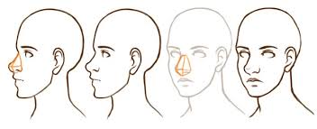 We've developed these five steps. How To Draw A Cartoon Nose