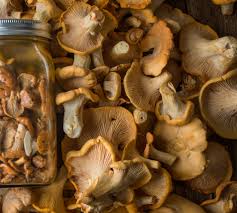 Wild Mushroom Conserve Recipe