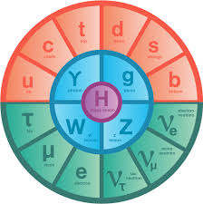 The Standard Model Of Particle Physics Symmetry Magazine