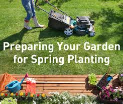 Preparing Your Garden For Spring