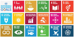 sustainable development goals earthdata
