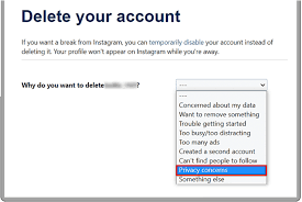 how to delete an insram account