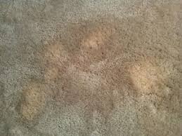 bleach damaged stain recolor carpet