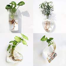 hanging glass plant containers nz
