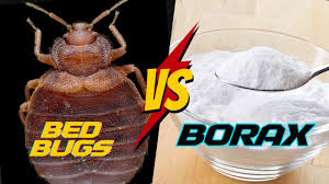 does boric acid kill bed bugs the
