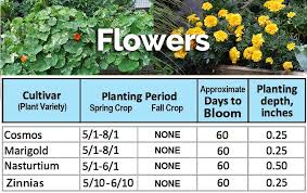 Planting Calendar Climate Zone 5b
