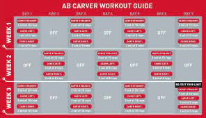 perfect fitness ab carver pro review