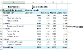 excel pivot tables filtering data