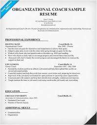 Career Coach Resume For Everyone Looking For A Brand New