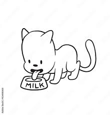 little black white cat drinking milk