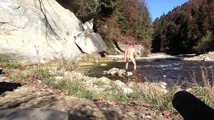 - SENSATIONAL DANGER - HUGE CUMSHOT AND HUGE PISS OUTDOOR IN PUBLIC GARDEN DURING THE PASSAGE OF PEOPLE, CARS, MOTORCYCLES AND TRAINS A FEW METERS!!! MATURE AMATEUR SOLO MALE HAIRY NAKED HARD COCK - THANKS FOR WATCHING, HELLO!