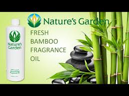 Fresh Bamboo Fragrance Oil Natures
