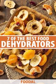 The Best Food Dehydrators For 2021 A