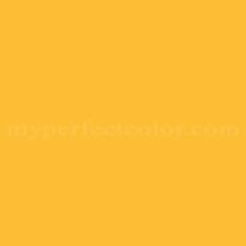 Color Your World C 1367 Citron Yellow