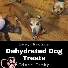 dehydrated dog treats easy recipe