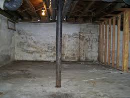 Mold Problems Moldy Basements In
