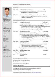 Template Of A Curriculum Vitae Microsoft Word Resume Resume