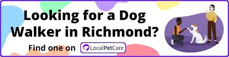 the 10 best dog parks in richmond va