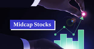 best mid cap stocks to invest in india