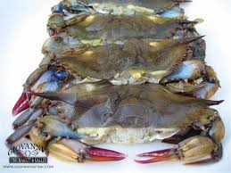 Soft Shell Blue Crab Giovannis Fish Market