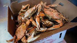 Capt. Zeaks Crab House & Seafood Delivery Menu | 192 North Dupont Highway  New Castle - DoorDash