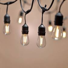 S14 Vintage Edison Bulbs 48ft