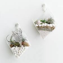 What Is 2 Pack Wall Hanging Plant