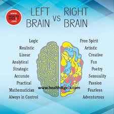 Quotes About Right And Left Brain 63 Quotes