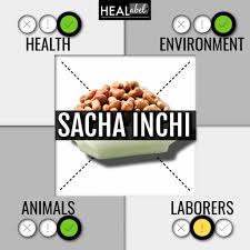 sacha inchi benefits and side effects